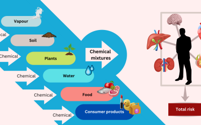 Seminar: “Chemical mixtures: challenges for toxicology and risk assessment”