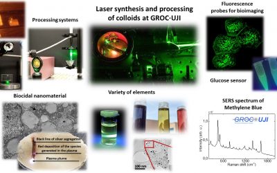 Seminar “Synthesis of nanomaterials with pulsed lasers and their applications in biology”.