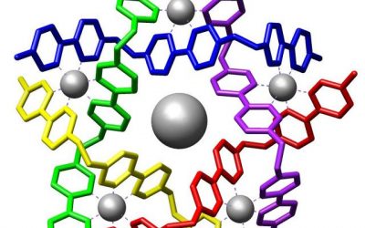 Seminar “Functional molecular systems by self-assembly”